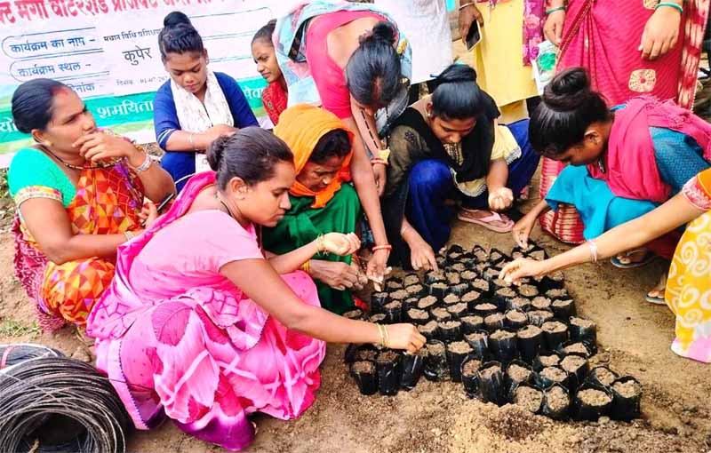 रायपुर : 1000 दीदियों की बाड़ी में मचान विधि से लगाई जा रही है सब्जी