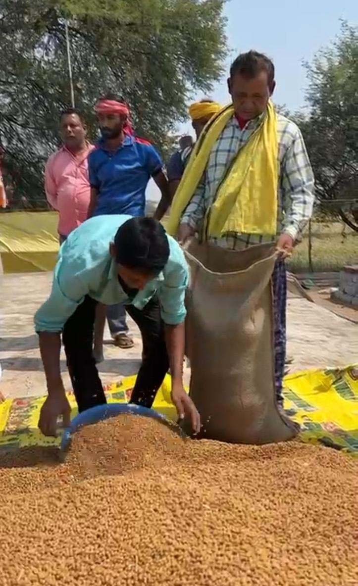 रायपुर : धान नहीं, अब चना की खेती से मिल रहा मुनाफा