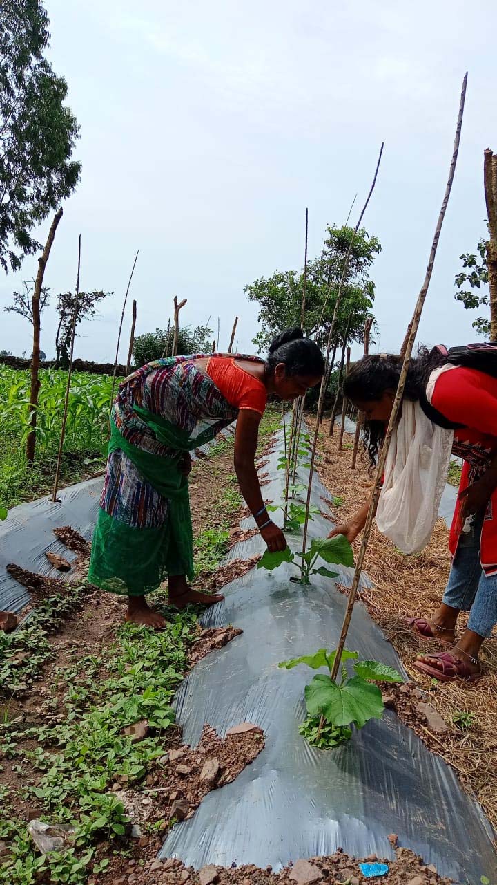 रायपुर : बस्तर में ‘बिहान’ से लखपति दीदी बनने की ओर अग्रसर महिलाएं