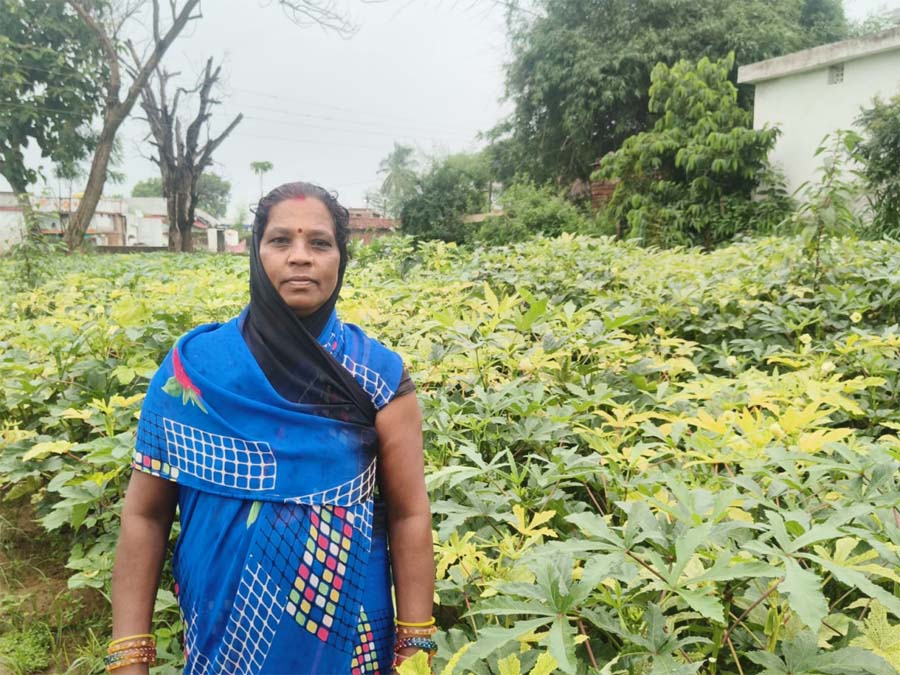 रायपुर : आधुनिक खेती व मेहनत में केतकी बाई को बनाया लखपति दीदी