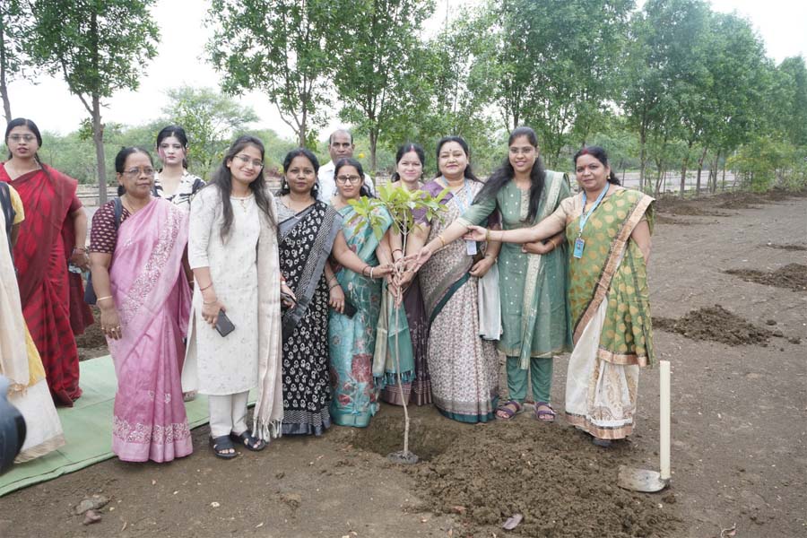 रायपुर : सहकारिता विभाग ने पूरे छत्तीसगढ़ में 1 लाख वृक्षारोपण करते हुए उनकी सुरक्षा का संकल्प लिया