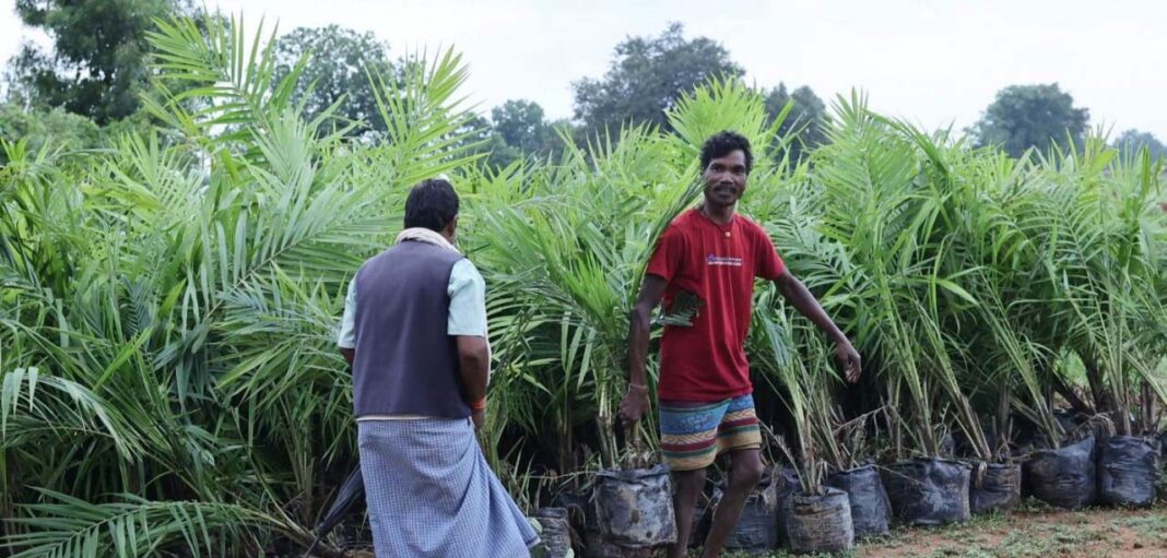 रायपुर : मेगा ऑयल पॉम प्लांटेशन ड्राइव से जुड़ रहे किसान