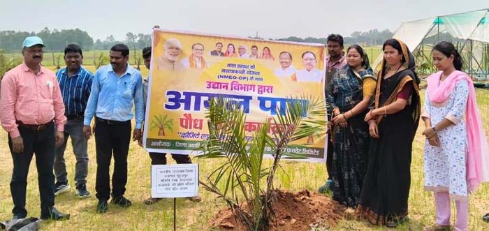 रायपुर : सूरजपुर जिले में ऑयल पाम की खेती का शुभारंभ