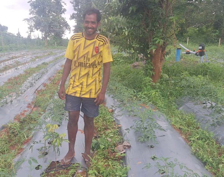 रायपुर : आधुनिक बागवानी व सब्जी उत्पादन से बदल रही है आदिवासी किसानों की तकदीर