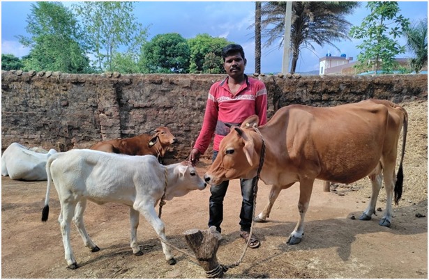 रायपुर : डेयरी उद्यमिता विकास योजना से सुखसागर की जिंदगी में आया बदलाव