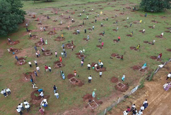 रायपुर : फलदार वृक्षों से बदली जिंदगी : सुरेश चन्द्र बने गांव के लिए प्रेरणा स्रोत