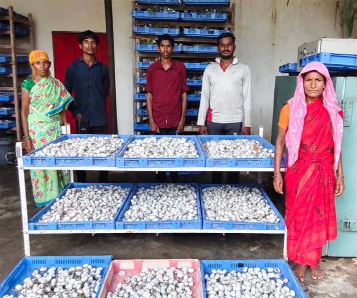 रायपुर : रेशम की डोर से बुनी आत्मनिर्भरता – दंतेवाड़ा की महिलाओं को मिली नई पहचान