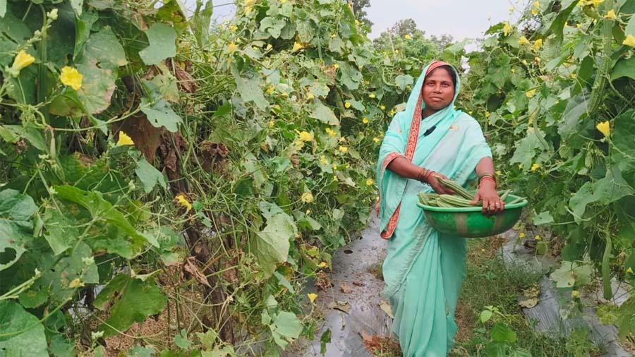 रायपुर : दानवती आर्माे बनीं लखपति दीदी