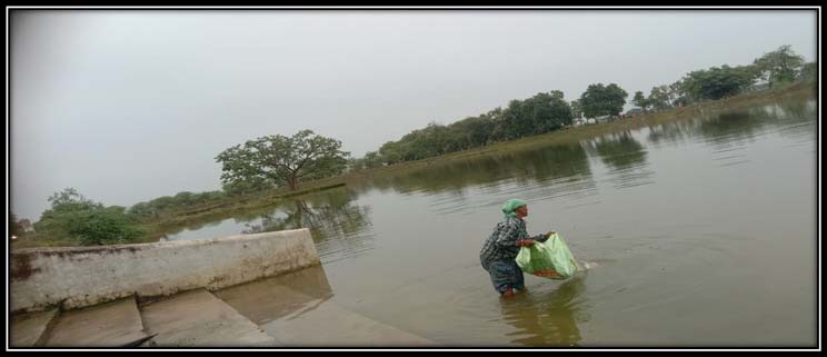 रायपुर : अमृत सरोवर से मिल रही आर्थिक उन्नति