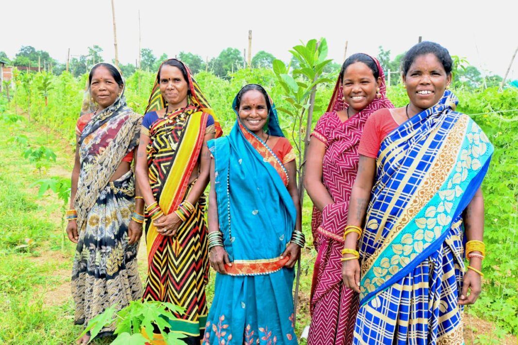 रायपुर : कमार दीदियों की ज़िंदगी में बिहान से जुड़कर आई खुशहाली