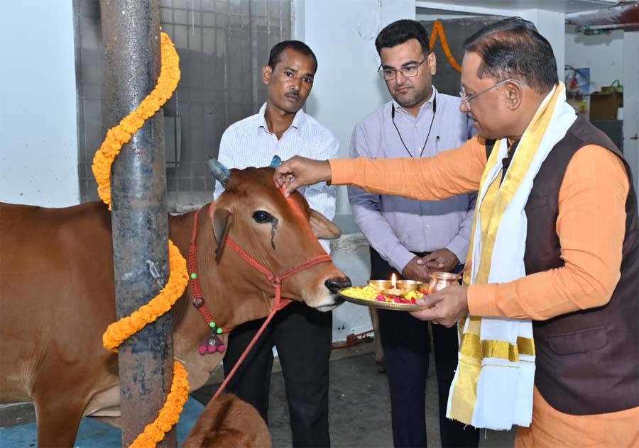 रायपुर : गोवर्धन पूजा के अवसर पर मुख्यमंत्री ने किया गौपूजन, प्रदेशवासियों की सुख-समृद्धि की कामना की