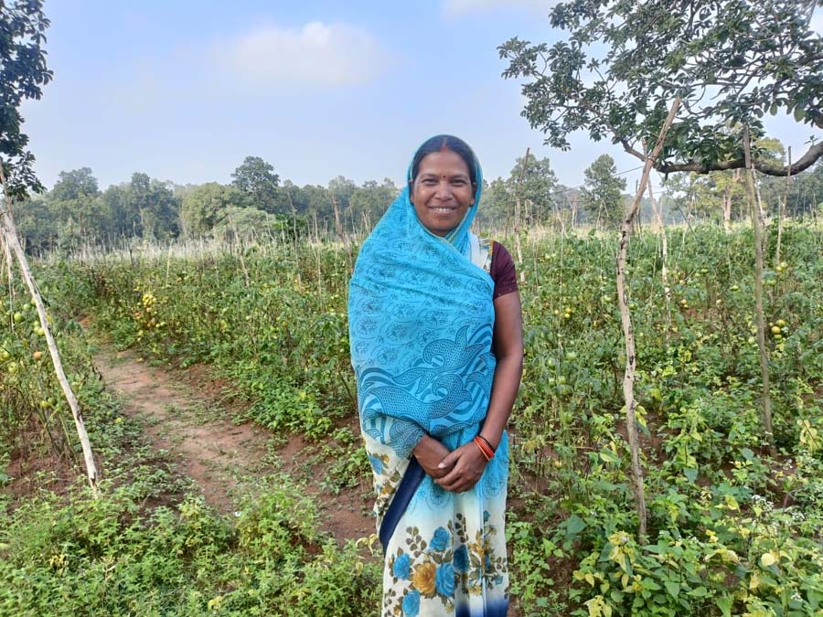 रायपुर : छत्तीसगढ की टमाटर ‘महाराष्ट्र की रसोई’ तक पहुंची