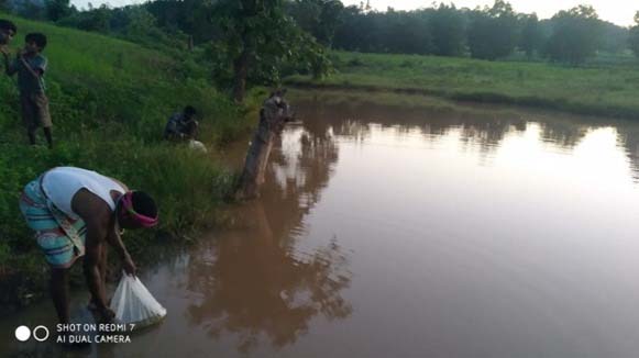 रायपुर : जल संरक्षण से बदली बैगा बाहुल्य ग्राम इन्द्रिपानी की तस्वीर