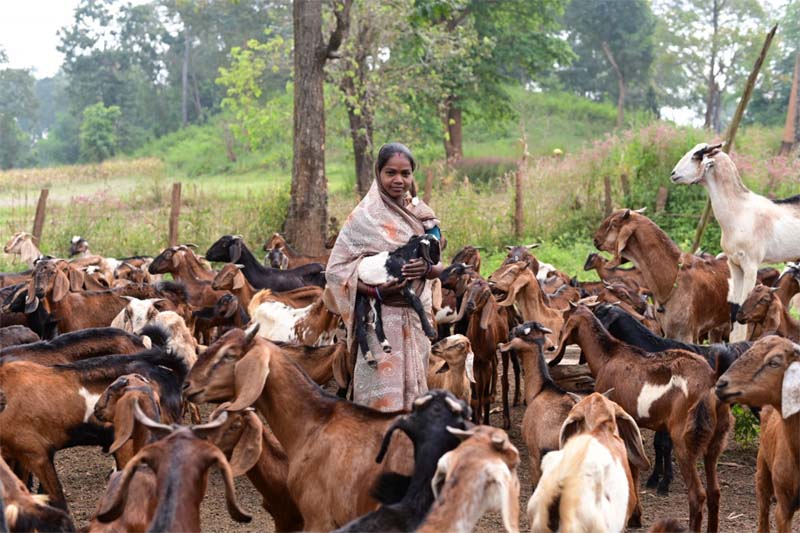 रायपुर : बिहान से गनेशी बाई आत्मनिर्भरता की राह पर