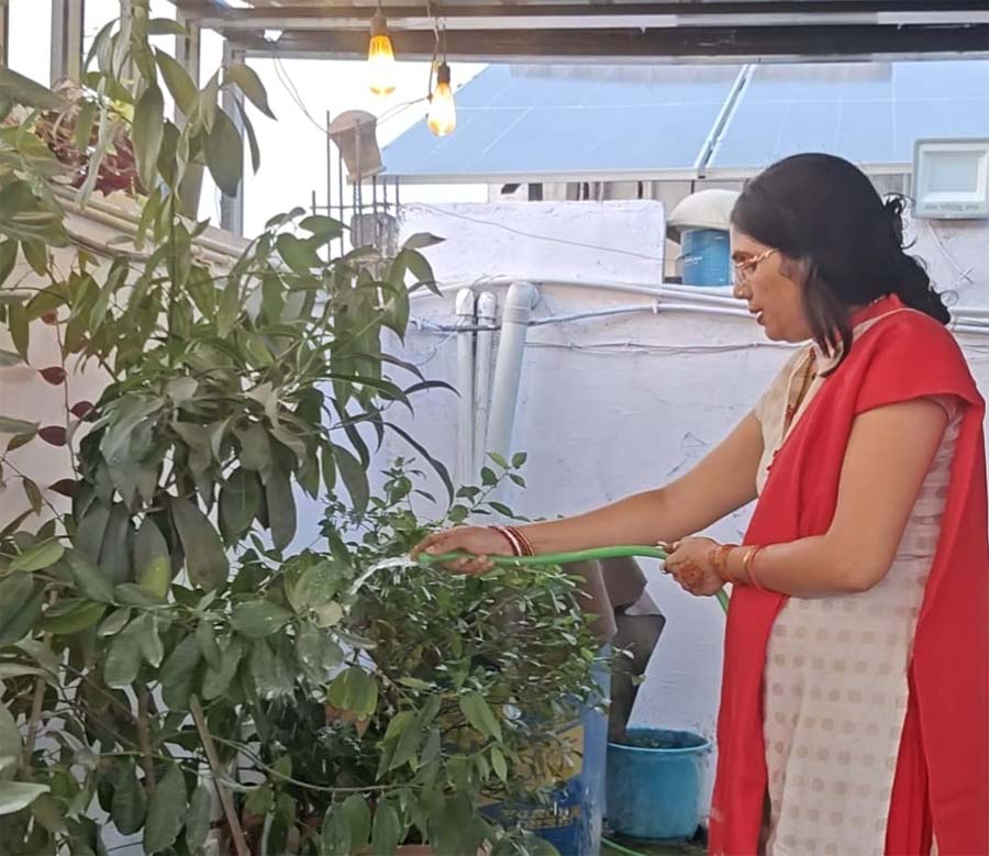 रायपुर : प्रकृति प्रेमी रितु मेश्राम ने सोलर पैनल लगवाकर पर्यावरण संरक्षण में निभाई सहभागिता