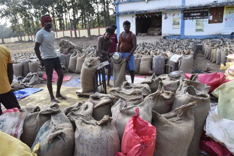 रायपुर : बस्तर जिले का जमावाड़ा धान उपार्जन केंद्र बना सुगमता और सहयोग की मिसाल, किसानों ने जताई संतुष्टि