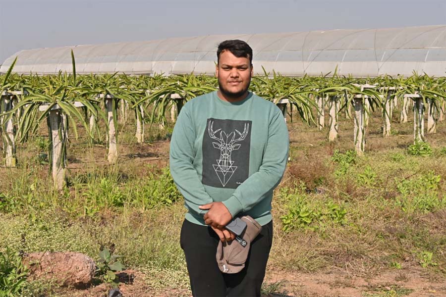 रायपुर : परंपरागत खेती छोड़कर ड्रेगन फ्रूट की राह किसान