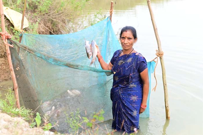 रायपुर : बिहान से बदली तक़दीर-मछली पालन से समृद्ध की राह पर फुलबती मरकाम