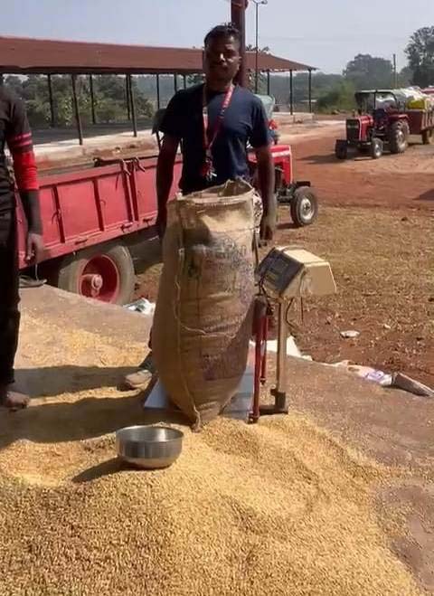 रायपुर : उपार्जन केंद्रों में प्रदेशभर में धान खरीदी सुचारू रूप से जारी