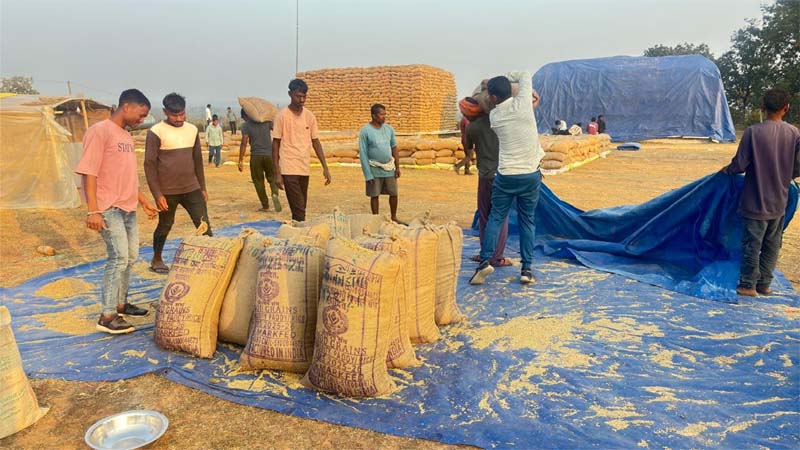 रायपुर : मनेन्द्रगढ़-चिरमिरी-भरतपुर जिले में धान की आवक में तेजी