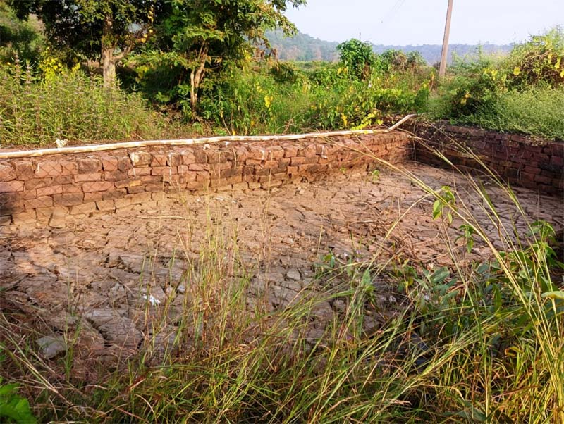 रायपुर : बहते पानी को सहेजने से बदली किसानों की दशा