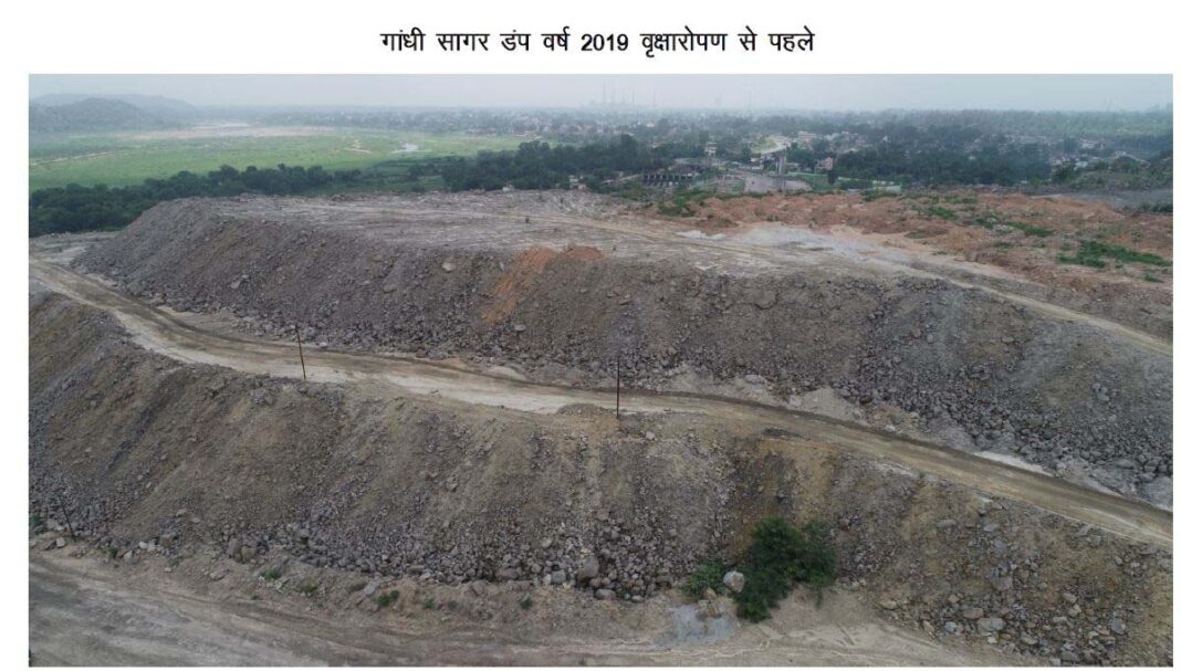 रायपुर : माइनिंग डंप में हरित क्रांति- कोरबा गांधीसागर डंप क्षेत्र में सफल वृक्षारोपण : एसईसीएल और वन विकास निगम की संयुक्त पर्यावरणीय पहल