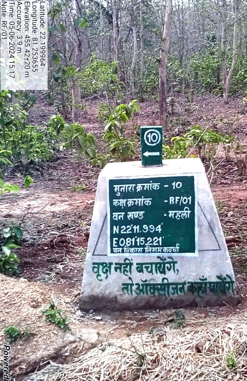 रायपुर : वनों की सुरक्षा को मिला नया कवच- 227 मुनारों का निर्माण पूर्ण