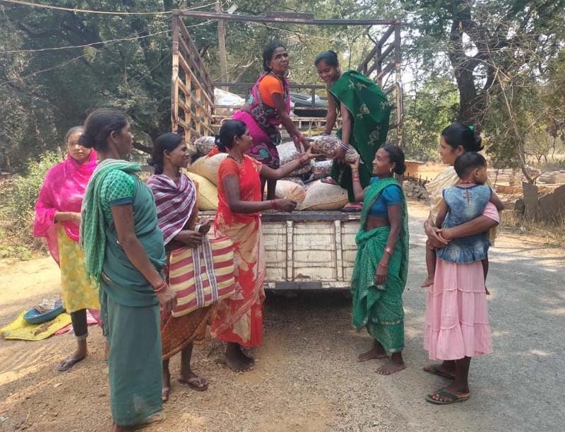 रायपुर : वनांचल की किस्मत बदलने वाली फसल साबित हुई इमली