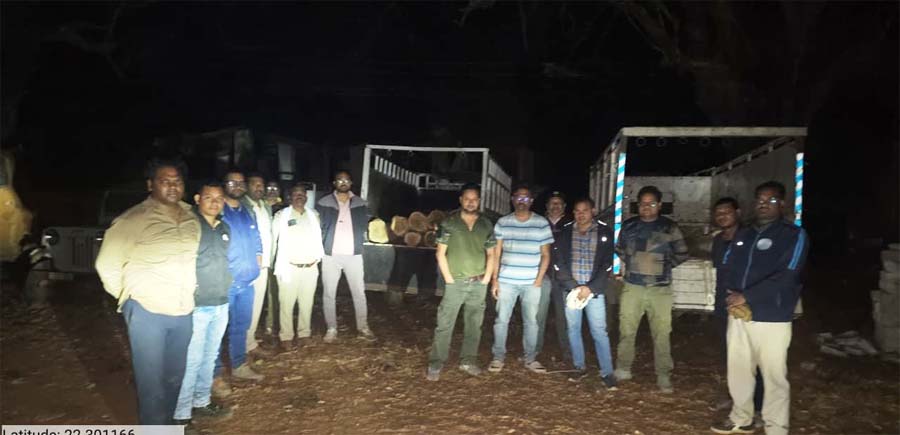 रायपुर : कोटा परिक्षेत्र में रात्रिकालीन गश्त में सागौन के लट्ठा जब्त