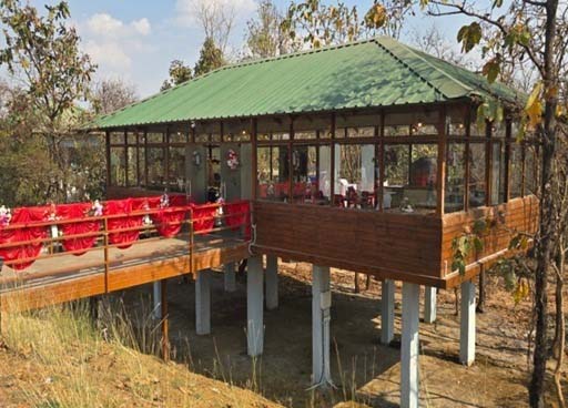 रायपुर : प्रकृति की गोद में रोमांच-मोहरेंगा नेचर सफारी