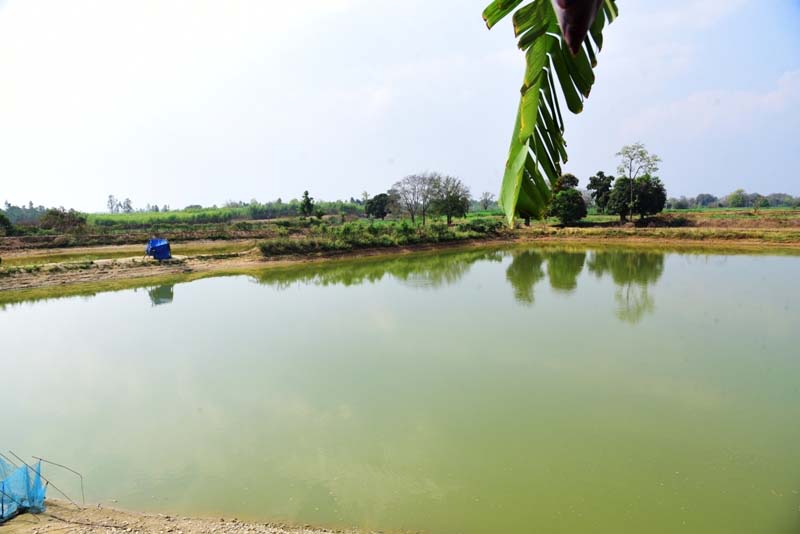 रायपुर : प्रधानमंत्री मत्स्य संपदा योजना