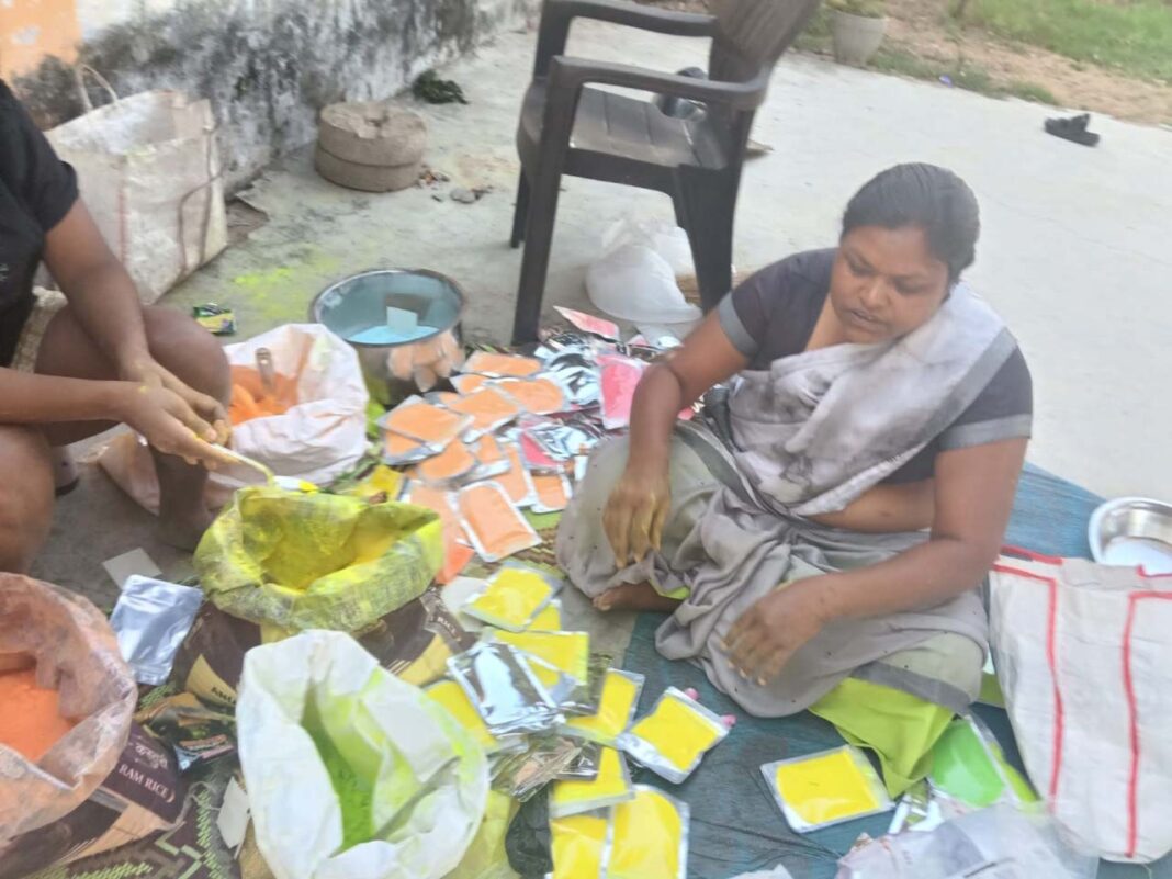 रायपुर : कोरिया के डकईपारा में बने “उजाला” से सजेगी हरित होली