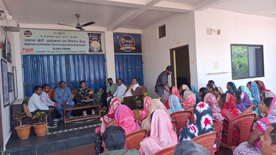 रायपुर : धमतरी को मखाना हब बनाने की दिशा में पहल
