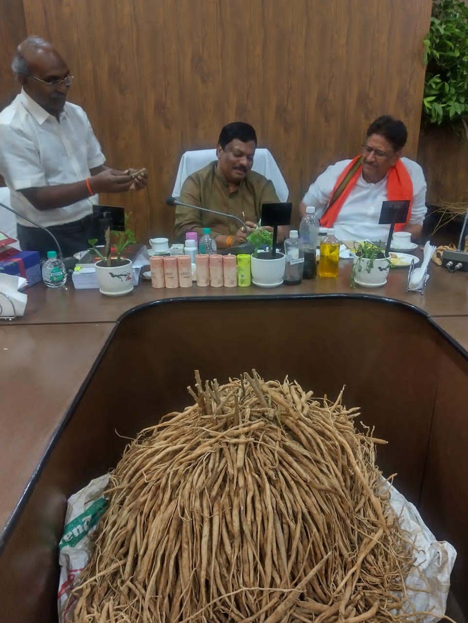 रायपुर : बस्तर और सरगुजा में औषधीय पौधों की योजनाओं का होगा विस्तार – विकास मरकाम