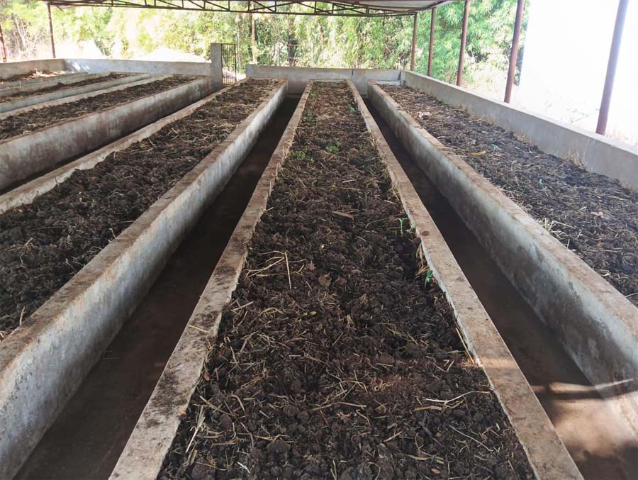 रायपुर : वर्मी कंपोस्ट उत्पादन बनी आत्मनिर्भरता की मिसाल