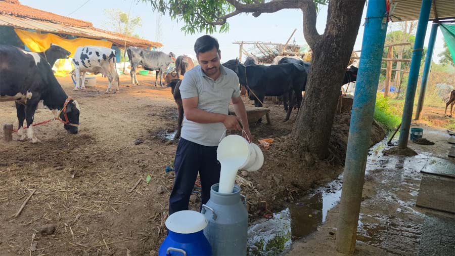 रायपुर : सरगुजा के राजनाथ यादव बने आधुनिक पशुपालन से आत्मनिर्भरता की मिसाल