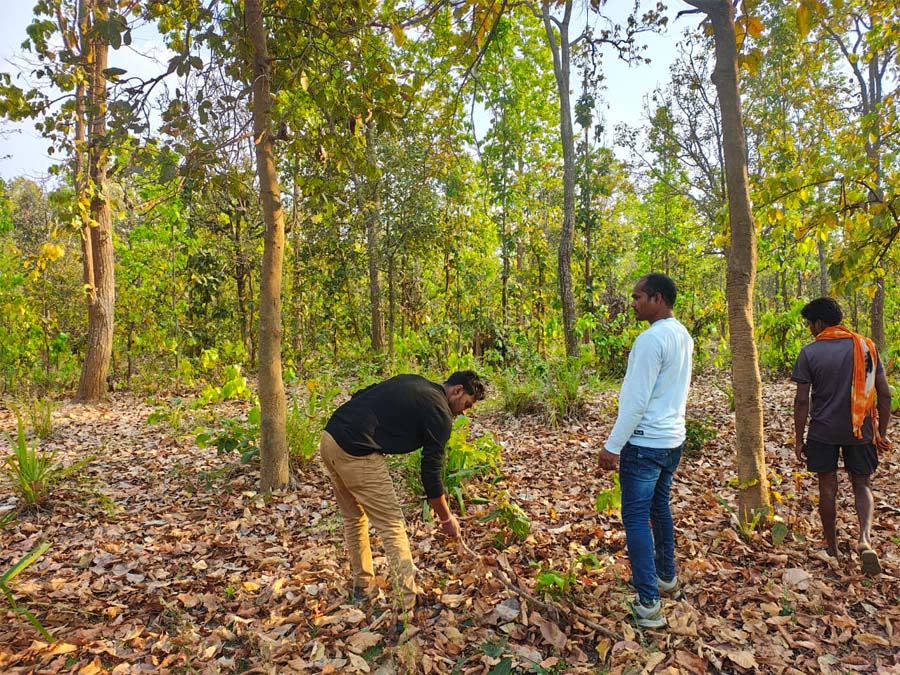 रायपुर : बाघ गणना का कार्य सफलतापूर्वक संपन्न