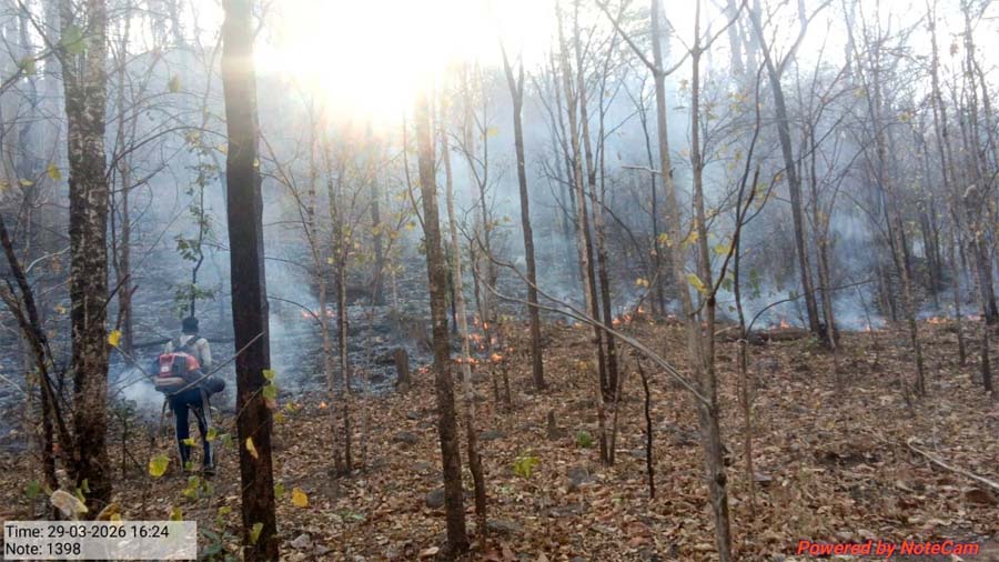 रायपुर : 25 हजार हेक्टेयर क्षेत्र में ‘फायर अलर्ट’ सिस्टम बना मजबूत सुरक्षा कवच