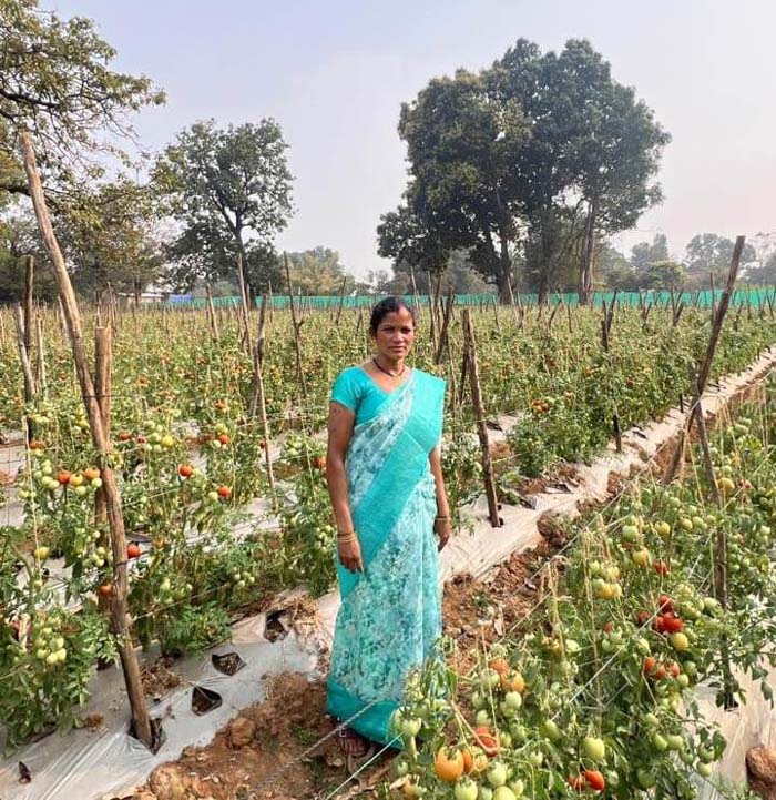 रायपुर : राष्ट्रीय ग्रामीण आजीविका मिशन ‘बिहान’ से बदली तस्वीर