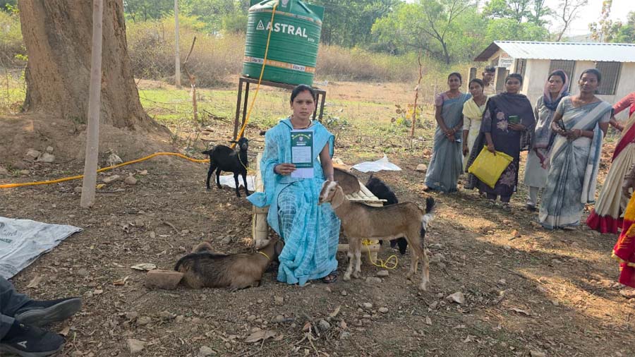 रायपुर : ‘सरगुजा छेरी बैंक’ मॉडल से ग्रामीण महिलाओं को मिल रही आर्थिक आज़ादी की नई राह