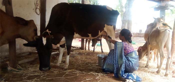 रायपुर : बिहान से बदली जिंदगी : गुंजवती पेगड़ बनीं “लखपति दीदी”