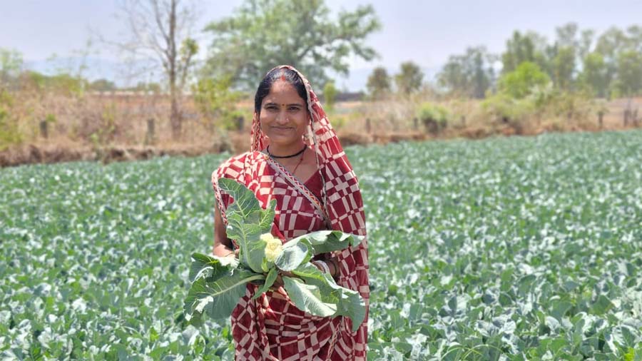 रायपुर : साय सरकार की पहल से सशक्त हुई महिलाएं : हमेश्वरी राठौर बनीं “लखपति दीदी”