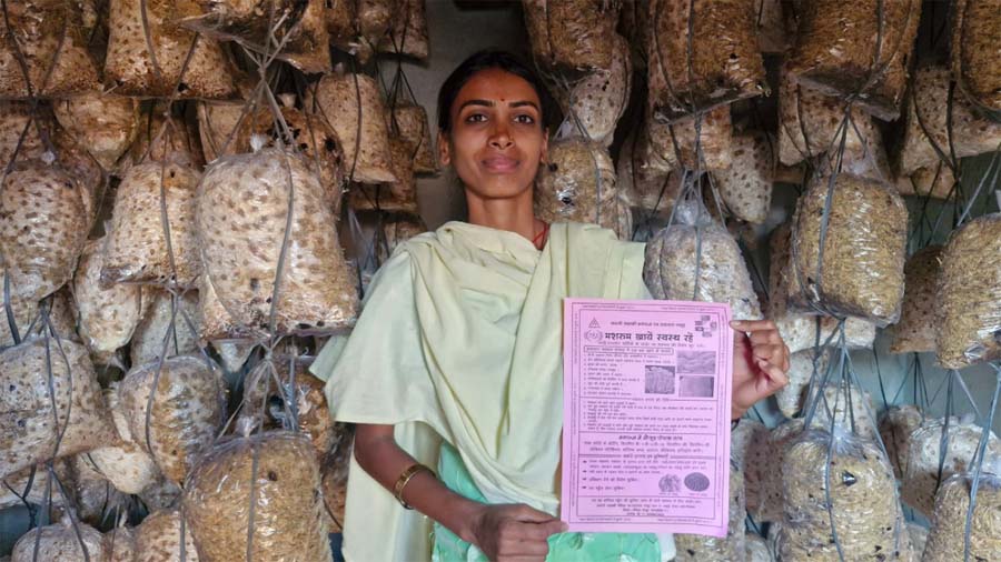 रायपुर : संघर्ष से समृद्धि तक के सफर की मिसाल