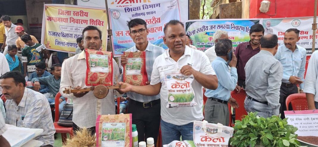 रायपुर : लैलूंगा की पहचान बना ‘केलो’ जैविक जंवाफूल चावल