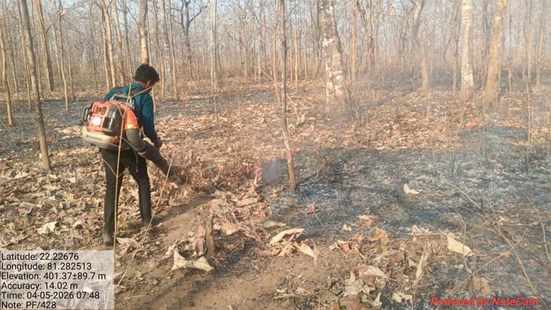 रायपुर : तकनीक और तत्परता से सुरक्षित हो रहे कवर्धा के जंगल