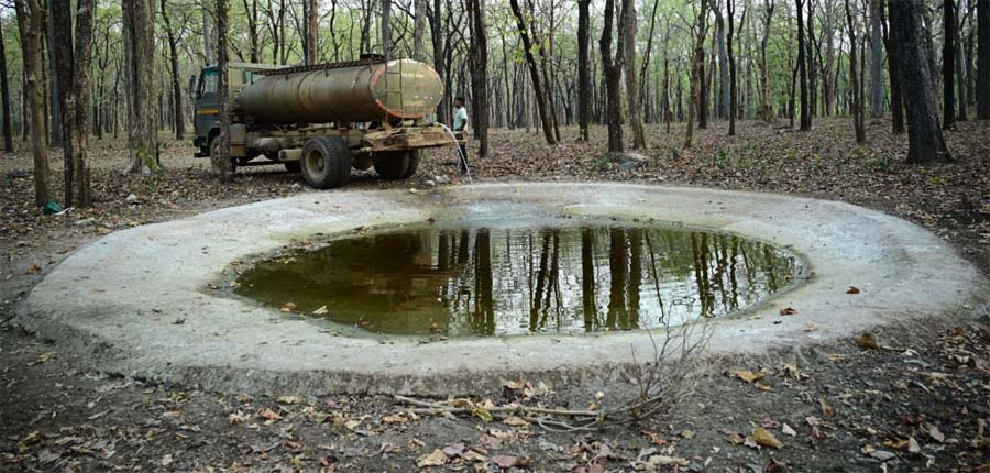 रायपुर : भीषण गर्मी में वन्यजीवों के लिए ‘संजीवनी’ बना बारनवापारा