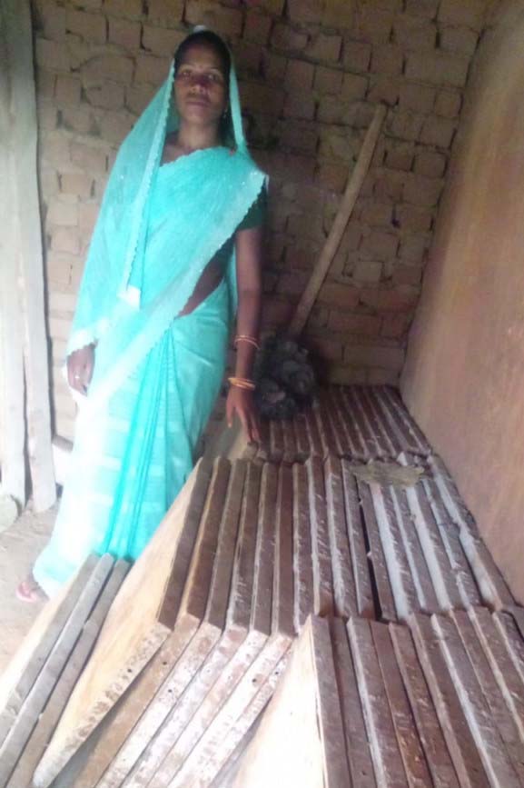 रायपुर : सेटरिंग प्लेट की व्यवसाय से आत्मनिर्भर बनी बिहान से जुड़ी धनमती