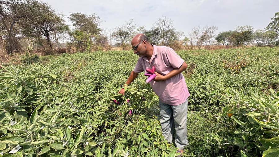 रायपुर : किसान हितैषी योजनाओं से आत्मनिर्भर बने संजय साहू, नवाचार से बदल दी खेती की तस्वीर