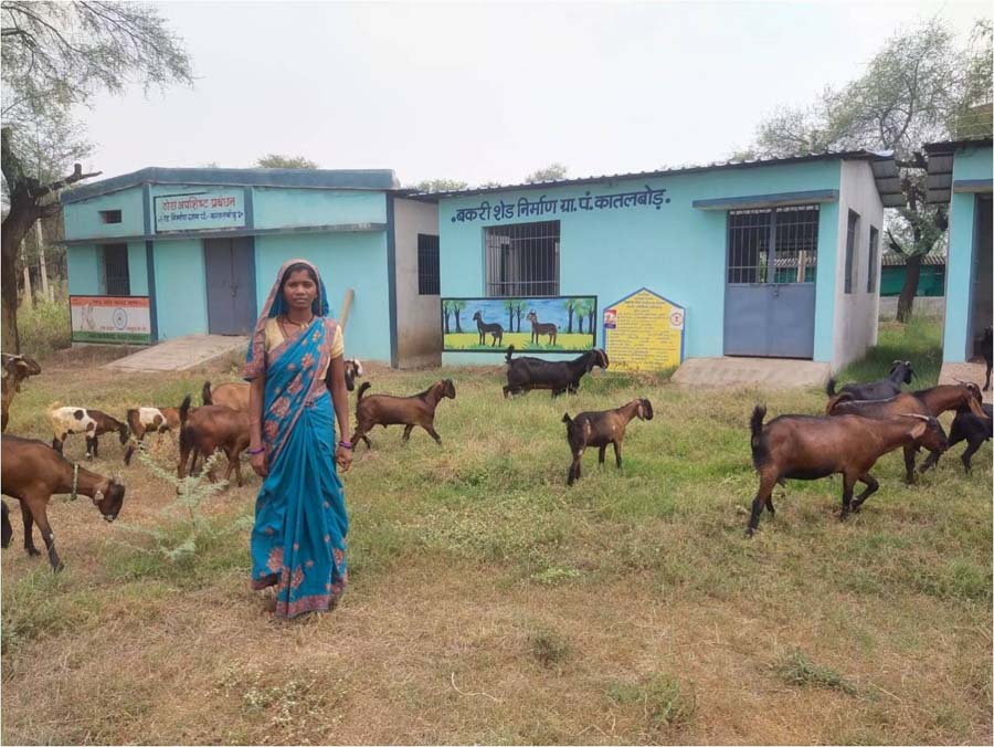 रायपुर : बकरी पालन से बदली आर्थिक तस्वीरः रानी ओझा बनीं आत्मनिर्भरता की मिसाल