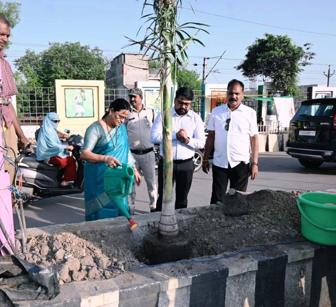 KORBA : शहर सौदंर्यीकरण को मिल रहा नया लुक, डिवाईडर बन रहे ग्रीन बेल्ट